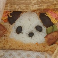 ムーミン💗 (@tugtjkuutynzmit) 's Twitter Profile