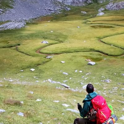 Biòleg i màster en gestió d'àrees de muntanya. Treballant per a la millora de la biodiversitat urbana a https://t.co/FaHsyg8Cso. Aficionat al ciclisme.