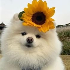 อุ๋งอุ๋งさんのプロフィール画像