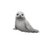 gif_tnpr