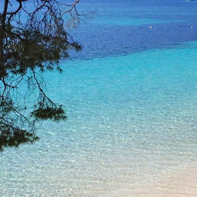 pinyol_ric16442's profile picture. 