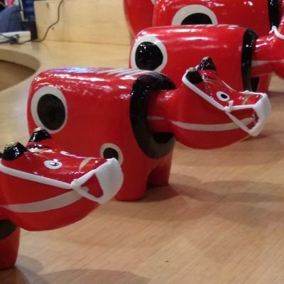 yucopeace's profile picture. 