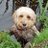 Ybairn's profile image