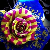 La Republicaneta Gracienca (@lgracienca8924) 's Twitter Profile
