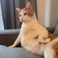 Natt (@ntthaya) 's Twitter Profile Photo Natt (@ntthaya) 's Twitter Profile Photo