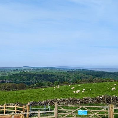 SparetimeFTW's profile picture. 