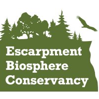 EBC (@escarpmentbc) 's Twitter Profile