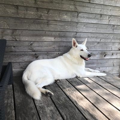 Ilse38917947's profile picture. 