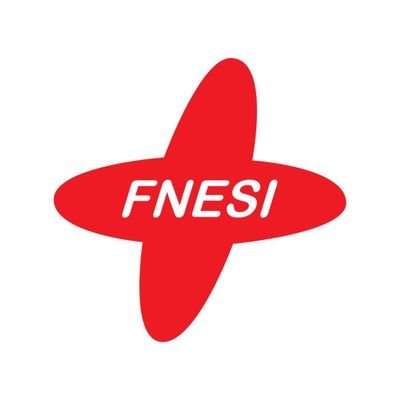 La_FNESI Profile Picture