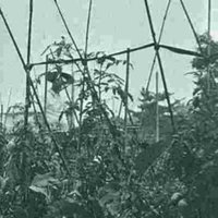 自由記述欄 (@shikanshansu) 's Twitter Profile Photo