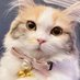 Huan (@Huan145) Twitter profile photo Huan (@Huan145) Twitter profile photo