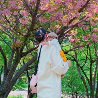 ぴよこ🦖⸒⸒7m☺︎ (@piyopoyo0923) 's Twitter Profile