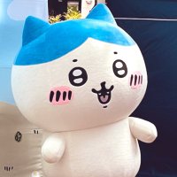 至都。@読み方:ゆきさと。 (@310ge15yu46lu9) 's Twitter Profile Photo 至都。@読み方:ゆきさと。 (@310ge15yu46lu9) 's Twitter Profile Photo