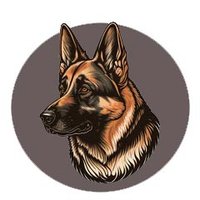 German Shepherd Lover Community 🐶(@DaneEEvans35045) 's Twitter Profile Photo