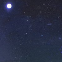 🌿 (@fdfcpmksp) 's Twitter Profile