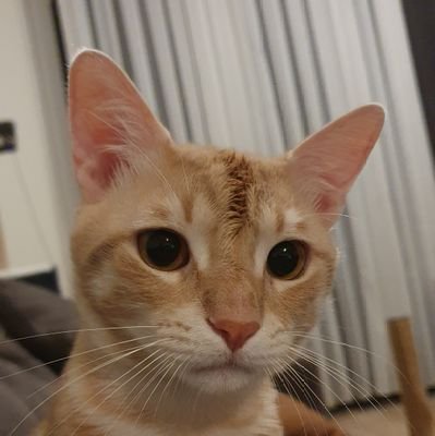 ckamoy's profile picture. bio yok