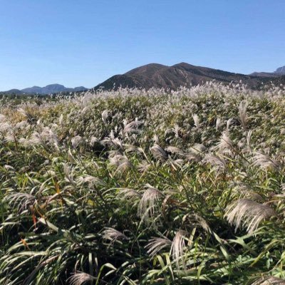 Godww's profile picture. 