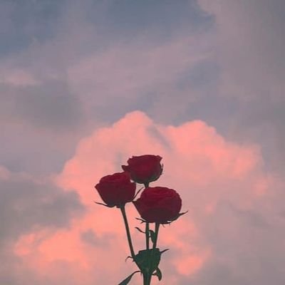 mirmireee_'s profile picture. 