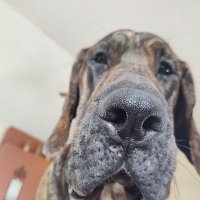 PowerOfU (@powerofu_1) 's Twitter Profile