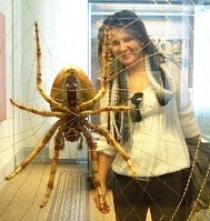 bvrenozi's profile picture. Zoologist, Ecologist