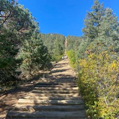 memgrissle's profile picture. 