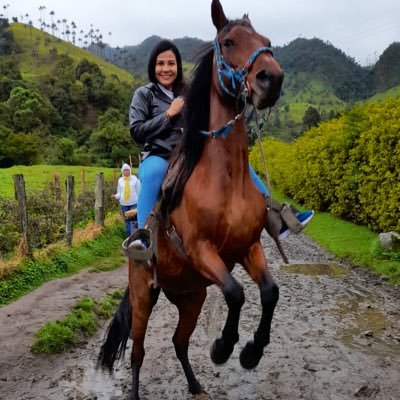 danpao2008's profile picture. Com. Social