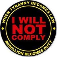 Tom Hanson (@tomhanson192539) 's Twitter Profile
