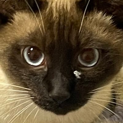 you__200327's profile picture. 趣味 20↑ 🐉垢 (真右固定)無言フォロー失礼します