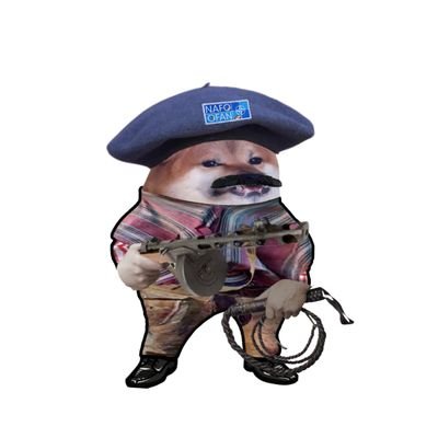 PutlerFullOfIt's profile picture. NAFO, 🇺🇦🇺🇲🇦🇷, 
Українській Віртуальний Опір