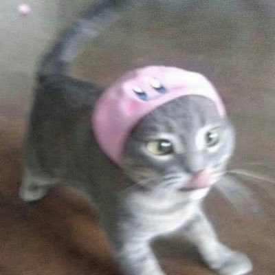 yuanmoze167902's profile picture.