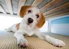 Girraffe44's profile picture. 