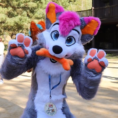 Hi I'm Enthvy, |24| @R5suits suiter, Fursuit maker in the making, pfp by @lukybollard banner by @minkytaro
https://t.co/KUL7uSZswp