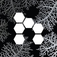 Nervous System (@nervous_system) 's Twitter Profile Photo Nervous System (@nervous_system) 's Twitter Profile Photo