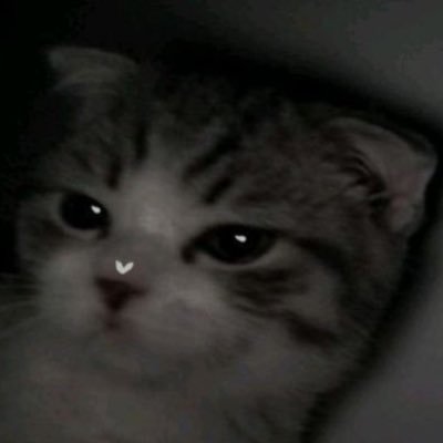 _lll5k's profile picture.