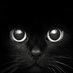 Gregory Gallant (@gallantgre29490) Twitter profile photo Gregory Gallant (@gallantgre29490) Twitter profile photo