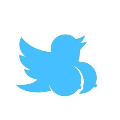 AstropSalander's profile picture. nft enthusiastic.