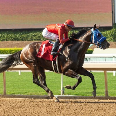 horses 🐎 giants ⚾️ cruz azul ⚽️ warriors 🏀