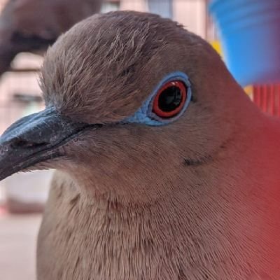 JonathanFdzT's profile picture. 