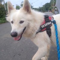 Arenas Arenas (@arenasa41137924) 's Twitter Profile