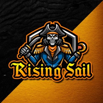 RisingSail's profile picture. Esports Event Organization Created By Full Sail Students ~ Join our Valorant Summer Bash Tournament June 17-18th