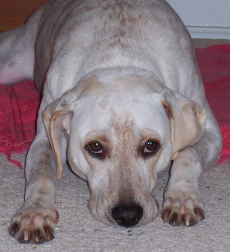 sewfun56's profile picture. wannabe quilter, mother, wife........