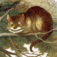 Chessur.crypto (@quantumcatnft) 's Twitter Profile