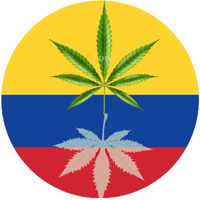 Cuenta Oficial de Legalización Cannabica Colombia, encontrarás noticias, datos e información acerca del proceso de legalización de la marihuana en el país.