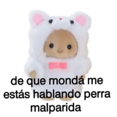 Sapaperra54's profile picture. .