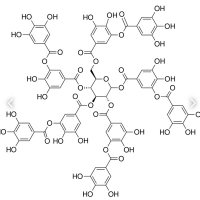 Polyphenol(@2ecoI3DaS3scdjY) 's Twitter Profile Photo