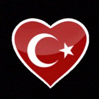 Filiz Dinçer(@dincer_660633) 's Twitter Profile Photo