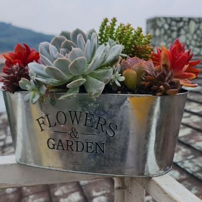 aquagardenymas's profile picture. Empresa dedicada al servicio al cliente enfocada en dos áreas:

A. Ciclo del Agua y 
B. Jardinización

Proveyendo a nuestros clientes equipo de la mejor calidad