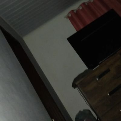 HectorBolinha's profile picture. 