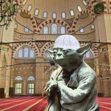 hzyoda1903's profile picture. 