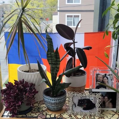 Staceygale31's profile picture. RN who loves history, travel and promoting world✌️. Using Twitter mostly to follow and support Ukraine during the illegal invision by Russia.